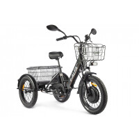 Трицикл Green City e-ALFA Trike черный-2515