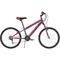 Велосипед Black One Ice Girl 20 фиолетовый/розовый/розовый HQ-0005361